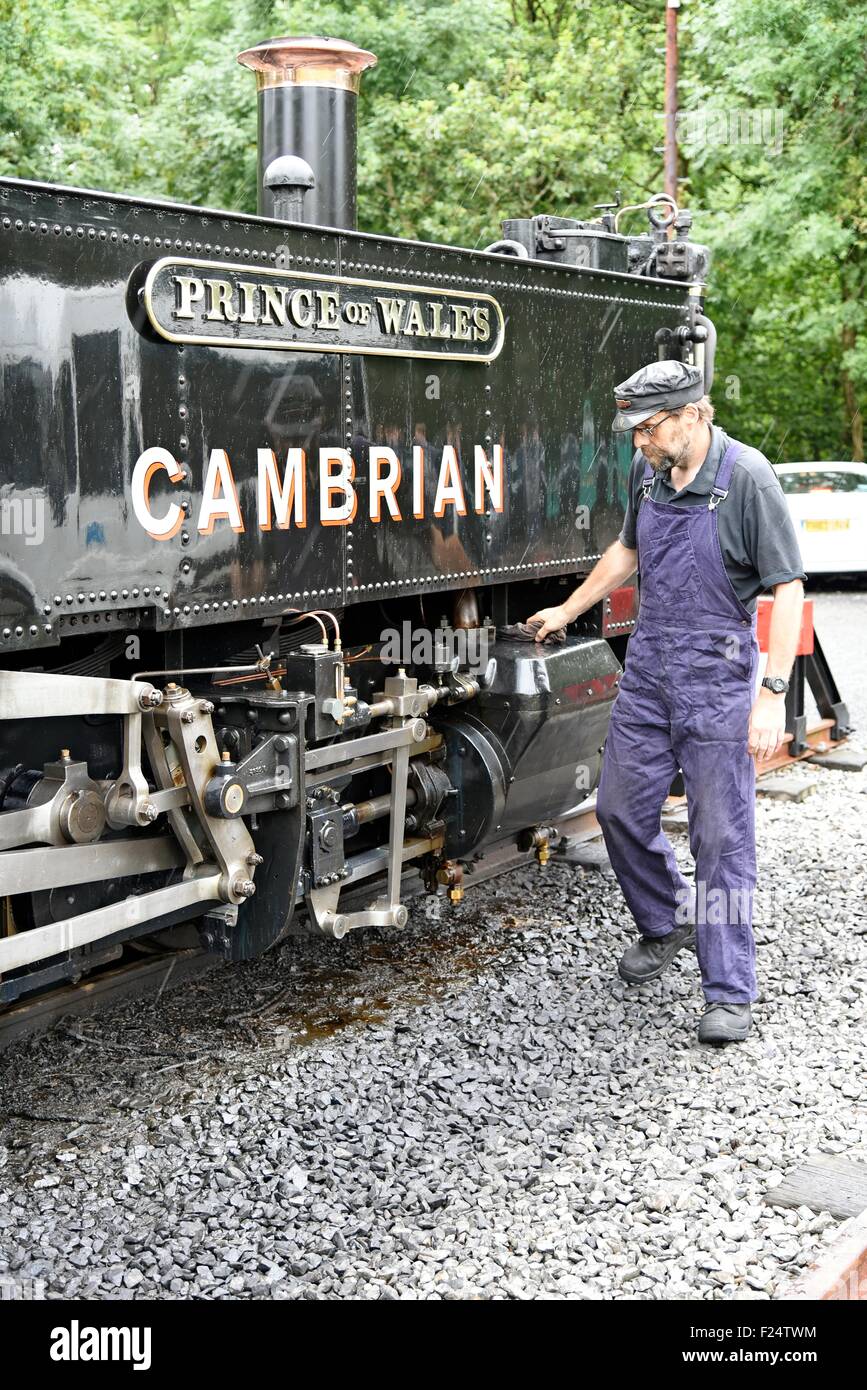 Das Vale of Rheidol Railway (Walisisch: Rheilffordd Cwm Rheidol) ist ein 3⁄4 1 ft 11 in (603 mm) Schmalspur Museumsbahn Dampf Stockfoto