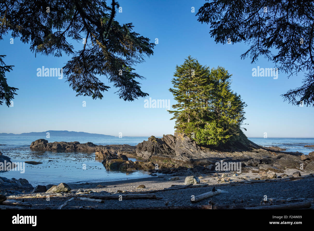 Botany Bay am Botanischen Beach Provincial Park in British Columbia, Kanada Stockfoto