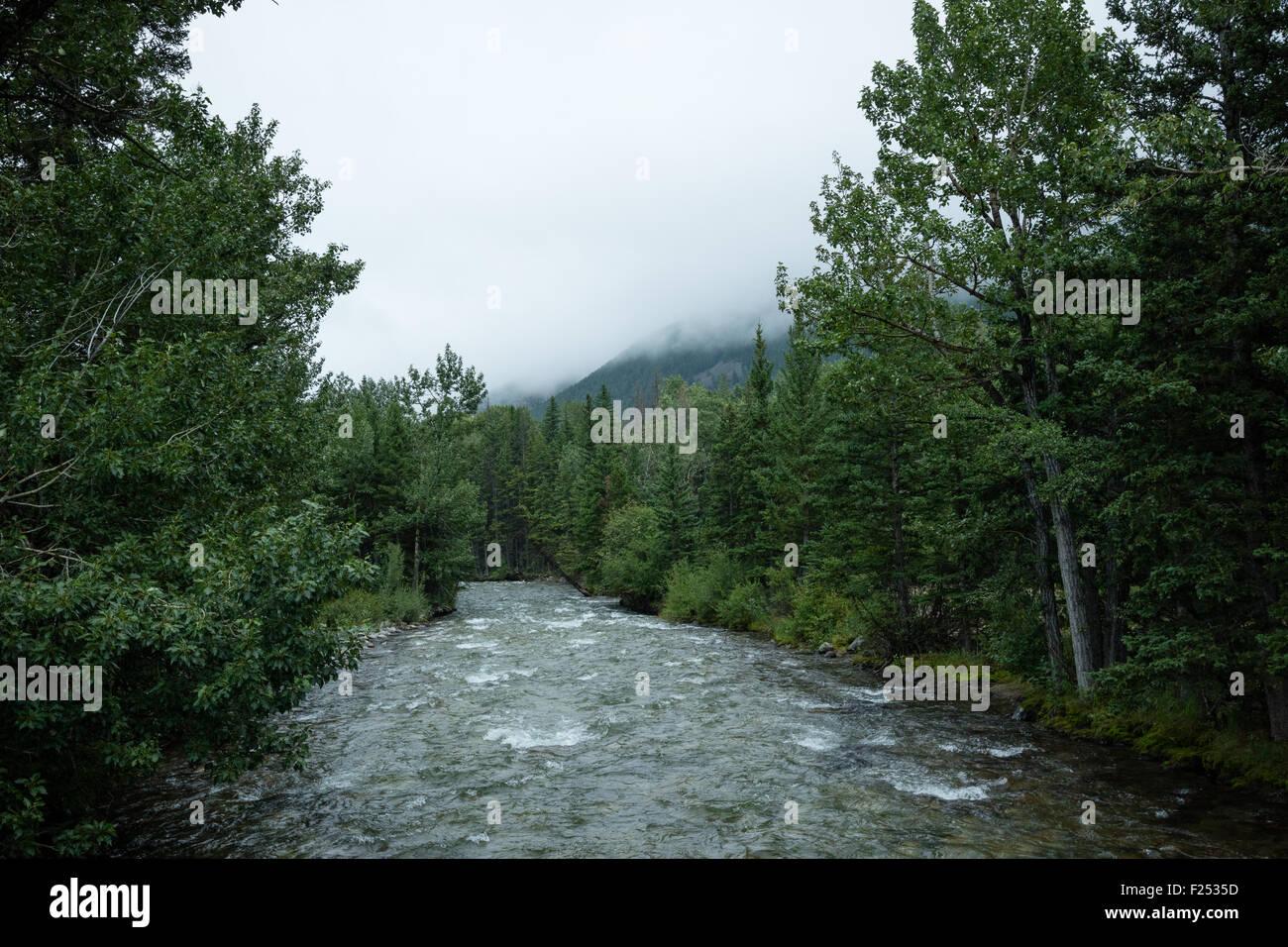 Beartooth Highway Landschaft, USA Stockfoto