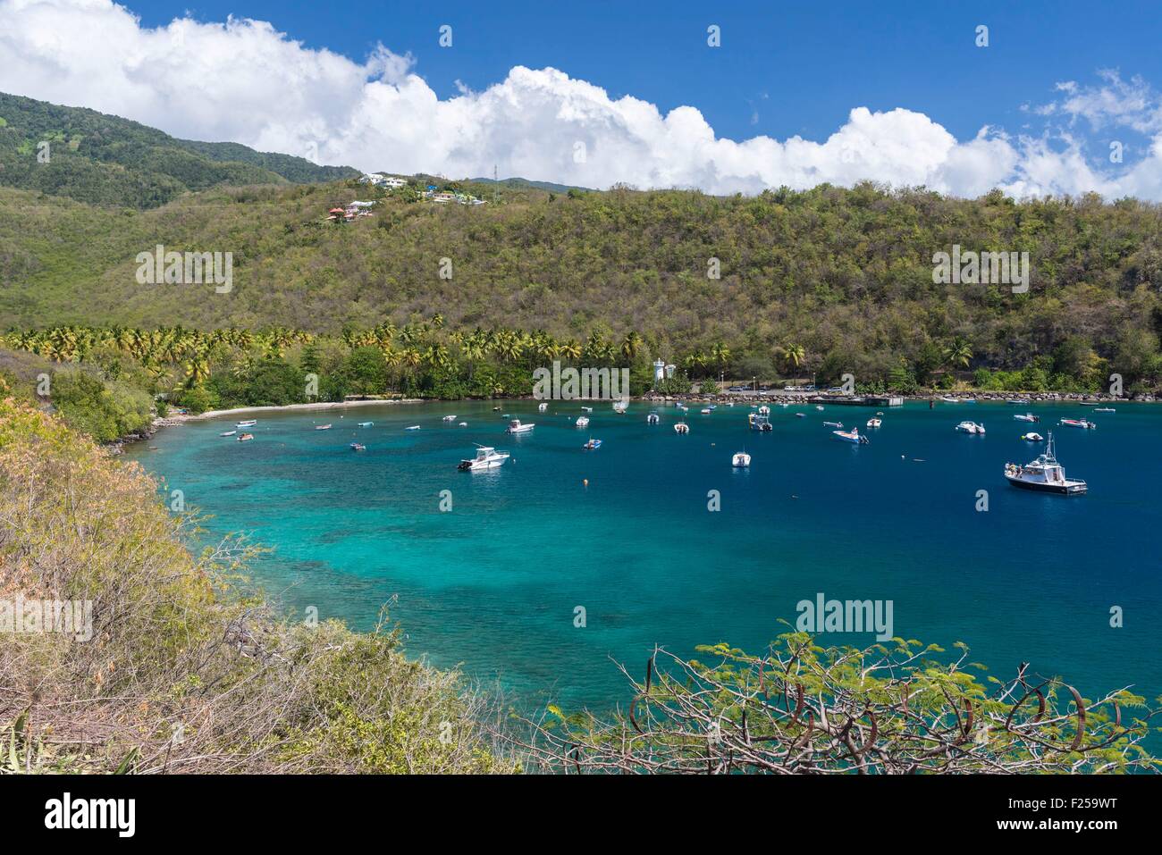Frankreich, Guadeloupe (Französische Antillen), Basse-Terre, Vieux Einwohner, die eingestufte Site von Anse à la Viermastbark Stockfoto