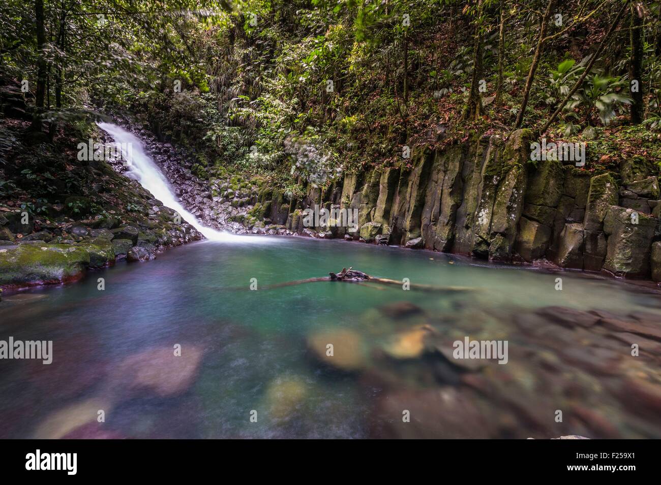 Vieux Einwohner, Paradies Wasserfall, Basse-Terre, Guadeloupe (Französische Antillen), Frankreich Stockfoto