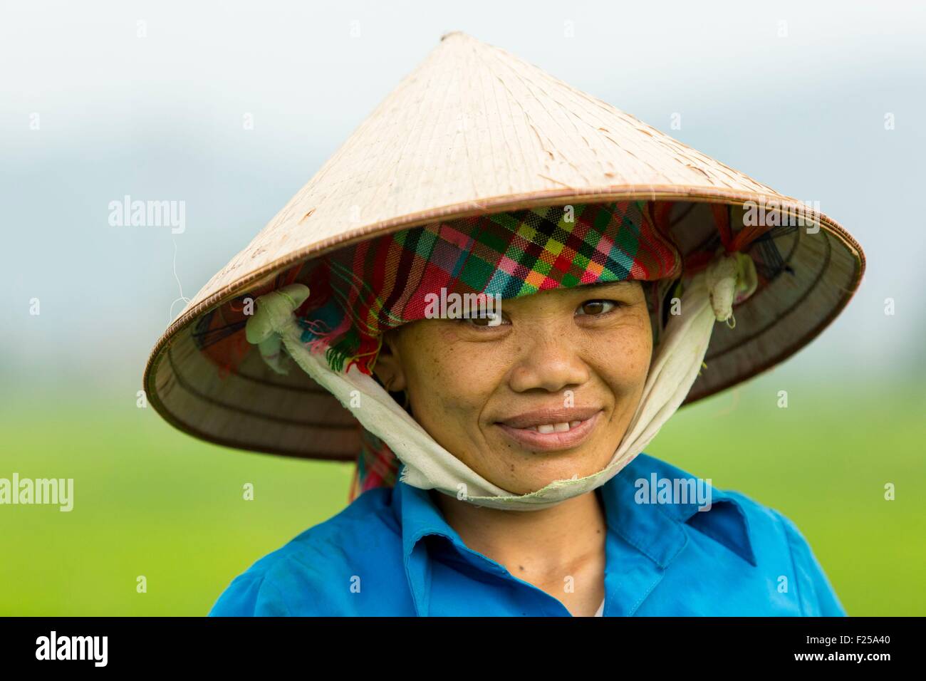 Vietnam, Lai Chau Province, Frau in ein Reisfeld Stockfoto