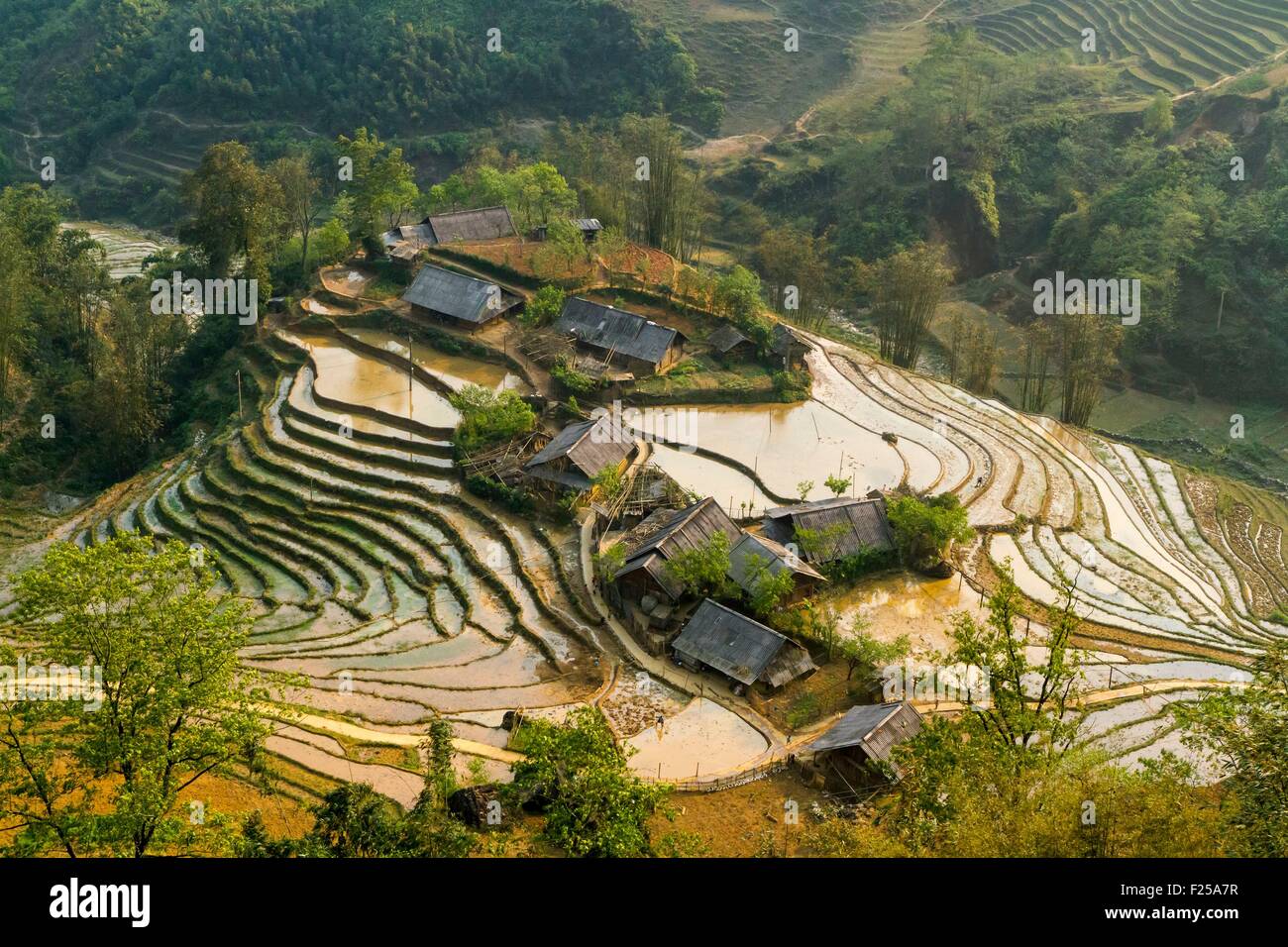 Vietnam, Provinz Lao Cai, Sa Pa District, Reisplantagen in Terrasse Stockfoto