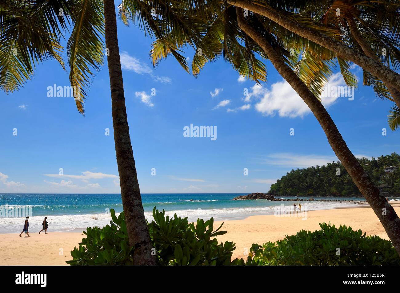 Sri Lanka, Südprovinz, Weligama, Mirissa Beach, Stockfoto