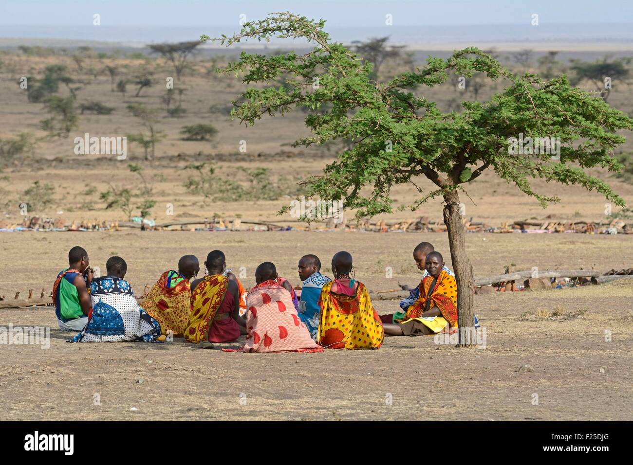 Kenia, Masai Mara Reserve, Massai Frauen sitzen im Schatten unter einem Baum Stockfoto
