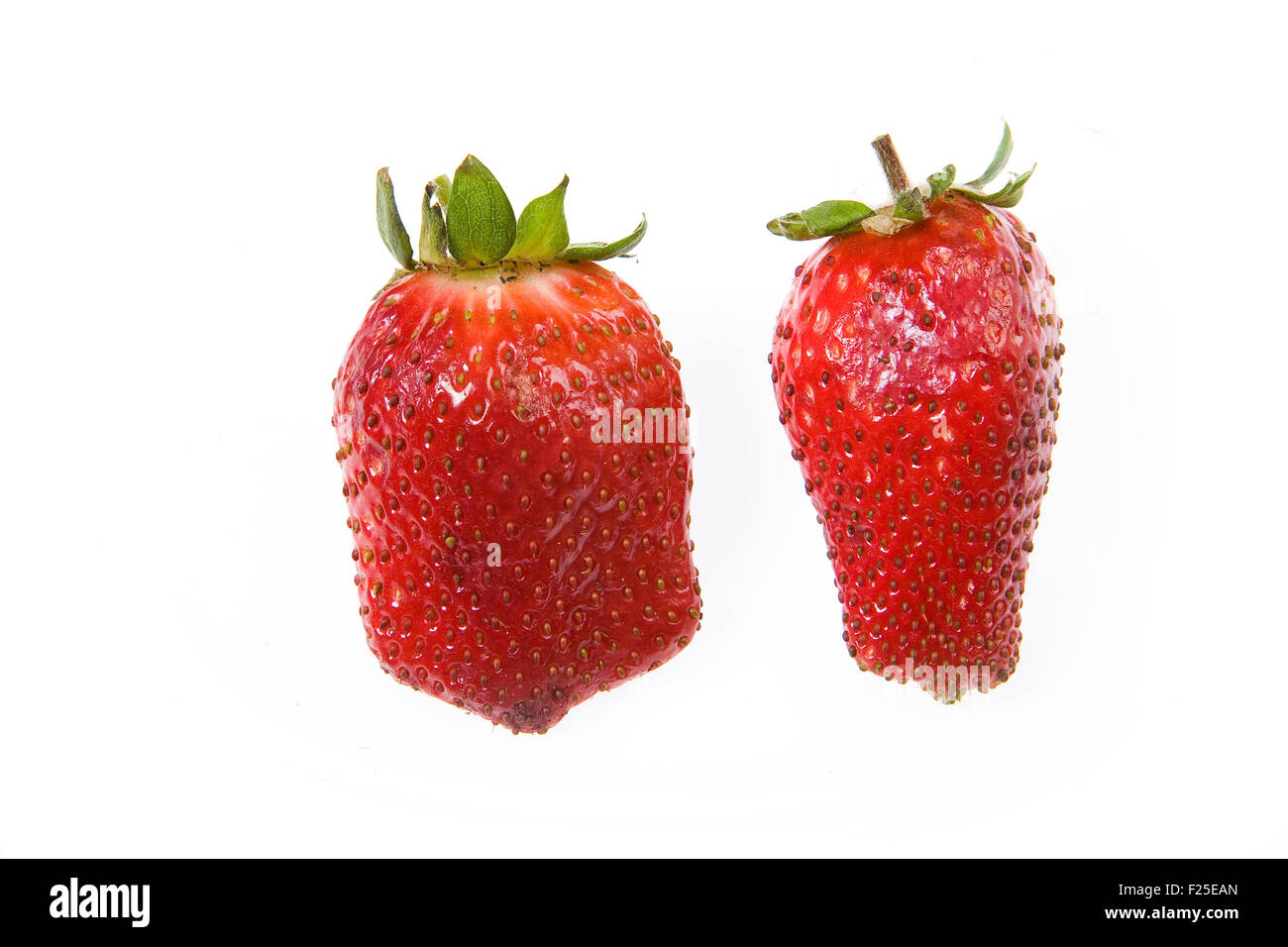 Erdbeere isoliert Hintergrund Objekt Essen Beere Produkt vegetarische Fruchtgeschmack Stockfoto