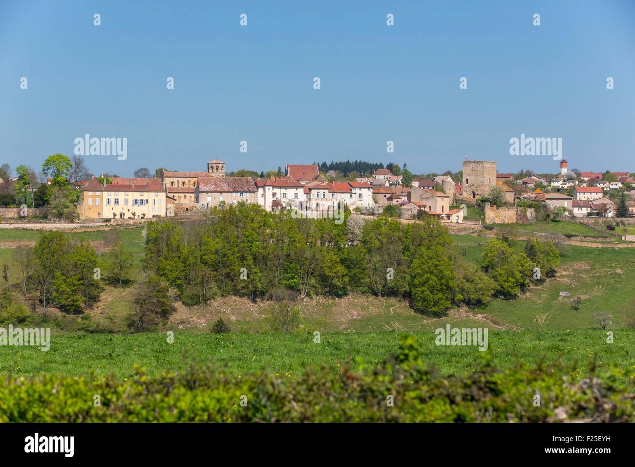 Frankreich, Saone et Loire, Semur En Brionnais, romanische Kirche Brionnais Stockfoto