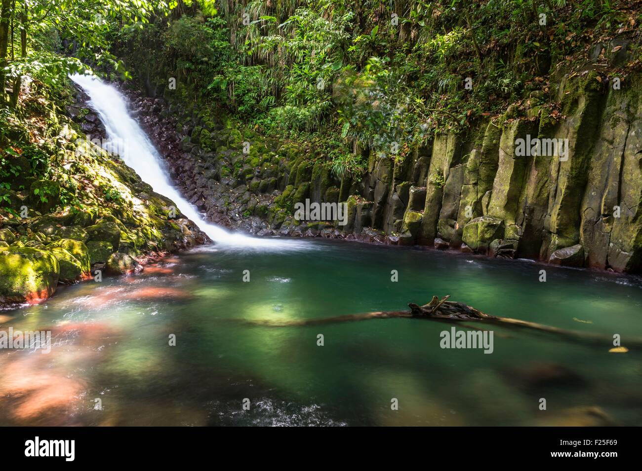 Vieux Einwohner, Paradies Wasserfall, Basse-Terre, Guadeloupe (Französische Antillen), Frankreich Stockfoto