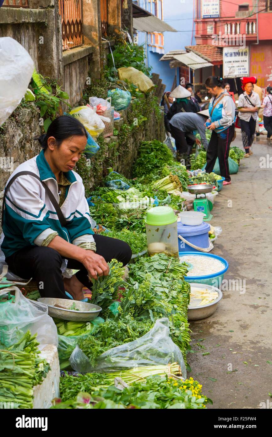 Vietnam, Lao Cai Provinz, Stadt Sa Pa, Markt Stockfoto