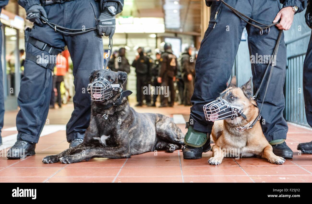 Hamburg, Deutschland. 12. Sep, 2015. Polizisten mit Hunden blockieren eine Passage am Hauptbahnhof in Hamburg, Deutschland, 12. September 2015. Gab es Auseinandersetzungen zwischen rechter und linker Gruppen während einer Demonstration gegen den "Marsch der Patrioten" (lit. März der Patrioten). Foto: MARKUS SCHOLZ/DPA/Alamy Live-Nachrichten Stockfoto