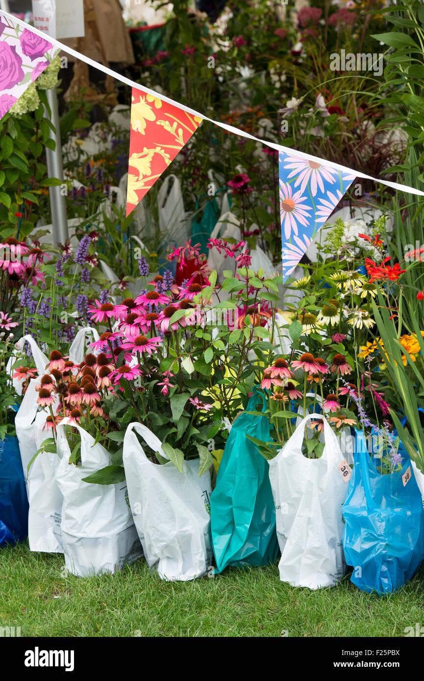 Kaufte Blumen in Plastiktüten, die darauf warten, am RHS Wisley Blumenschau gesammelt werden. Surrey, England Stockfoto