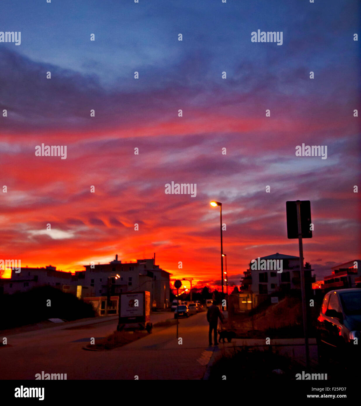 Stadtbild bei schwachem Licht gegen rote Sonnenuntergang, Silhouetten von Gebäuden, geparkten Autos, Straßenlaterne, Mensch und Hund Stockfoto