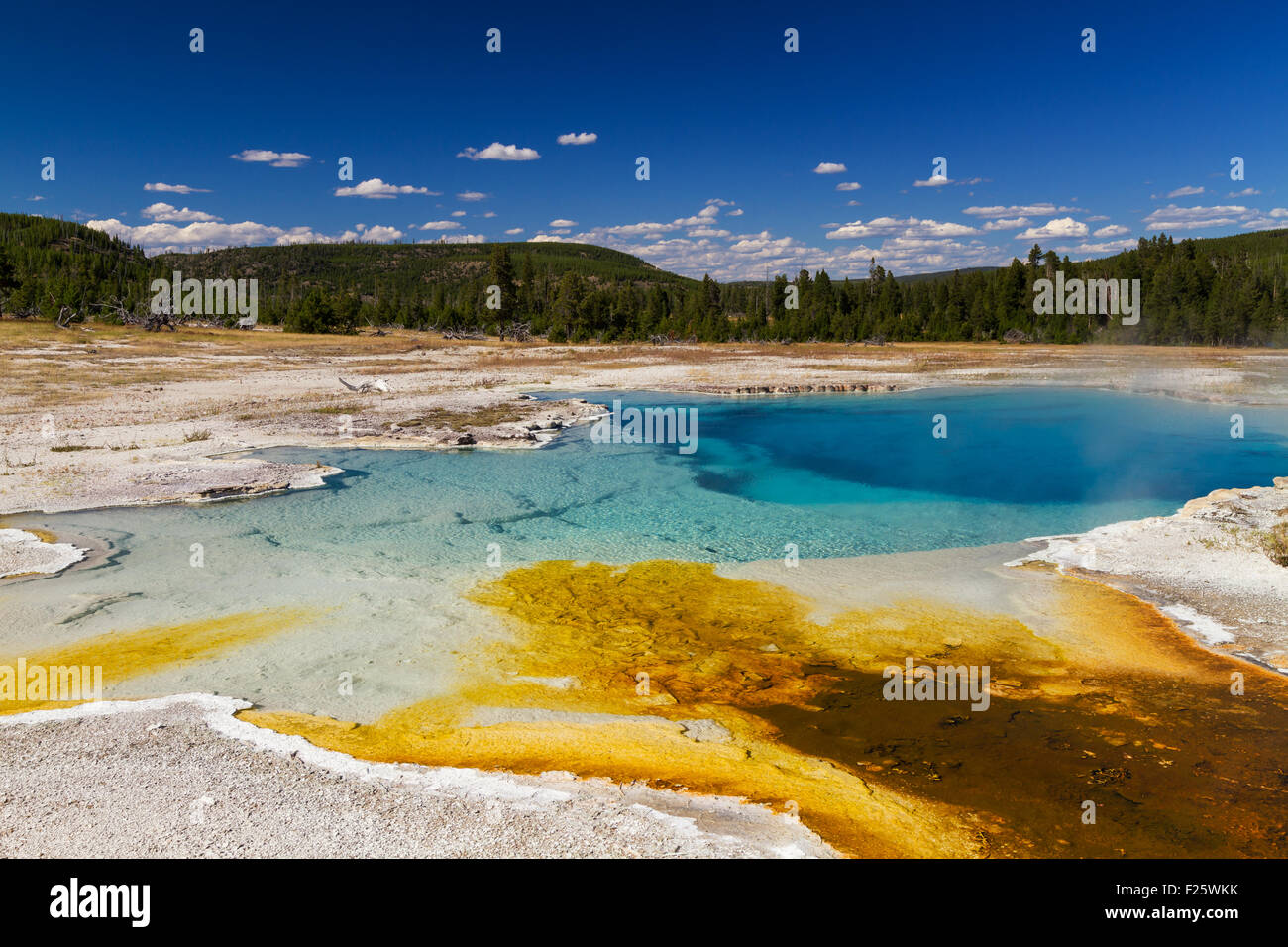 Saphir-Pool im Biscuit Basin, Yellowstone-Nationalpark, Wyoming, USA Stockfoto