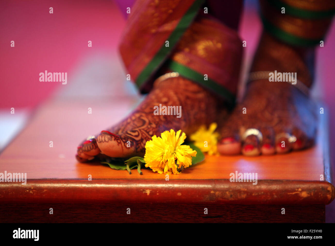 Die Füße einer traditionellen indischen Braut verziert mit Mehendi oder Henna, Stand in der Nähe einer Blume auf einem Holzbrett als Bestandteil einer Stockfoto