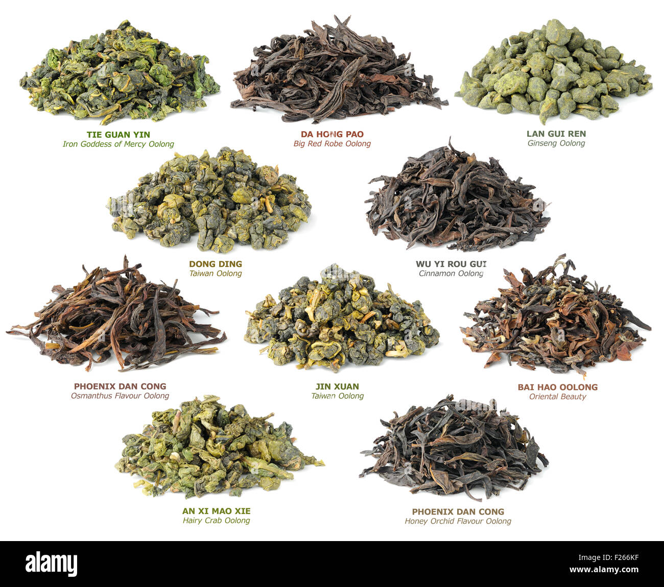 10 berühmte chinesische Oolong Tees isoliert auf weiss Stockfoto