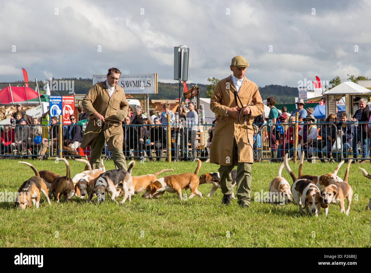 Frome, Somerset, UK. 12. Sep, 2015. Die jährliche Landwirtschaft und Global Käse Show lockte 20.000 Besucher, mehr als 350 Handel steht und über 4600 Klasse Einträge in den verschiedenen Wettbewerben. Stolze Mitglieder der Öffentlichkeit vorgestellten Gemüse produzieren und Handarbeit Handwerk und professioneller Züchter zeigten ihre wertvollen Tiere, lokale Apfelwein und handwerkliche Lebensmittel. Die Massen waren auch begeistert vom Bike Stunt Displays, Reitsport Springen und Landschaft Beschäftigungen. Bildnachweis: Wayne Farrell/Alamy Live-Nachrichten Stockfoto