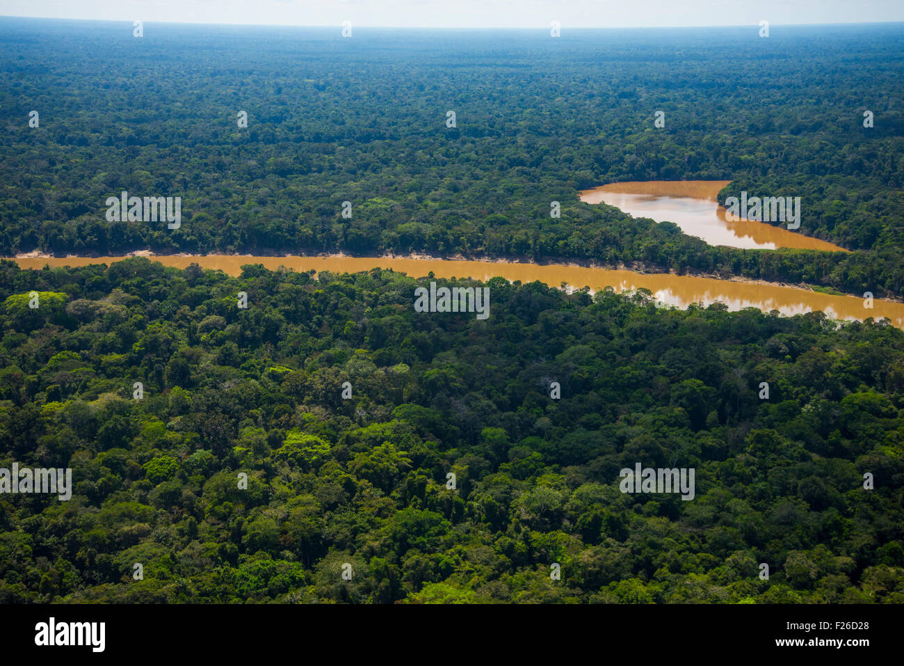 Regenwald-Antenne, Yavari Fluss und Urwald, Amazonas, Brasilien im Vordergrund, Peru am gegenüberliegenden Ufer Stockfoto