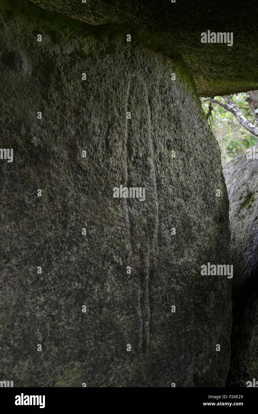 Gravuren in 5000 Jahr prähistorischen Durchgang Grab Allee découverte des Mougau Bihan. Commana, Finisterre, Bretagne, Frankreich Stockfoto