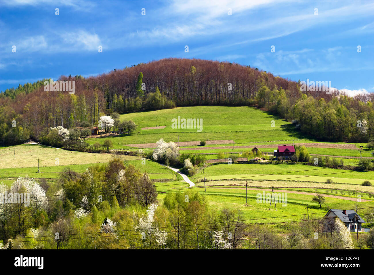 Beskiden Gebirge im Frühjahr. Polen. Stockfoto