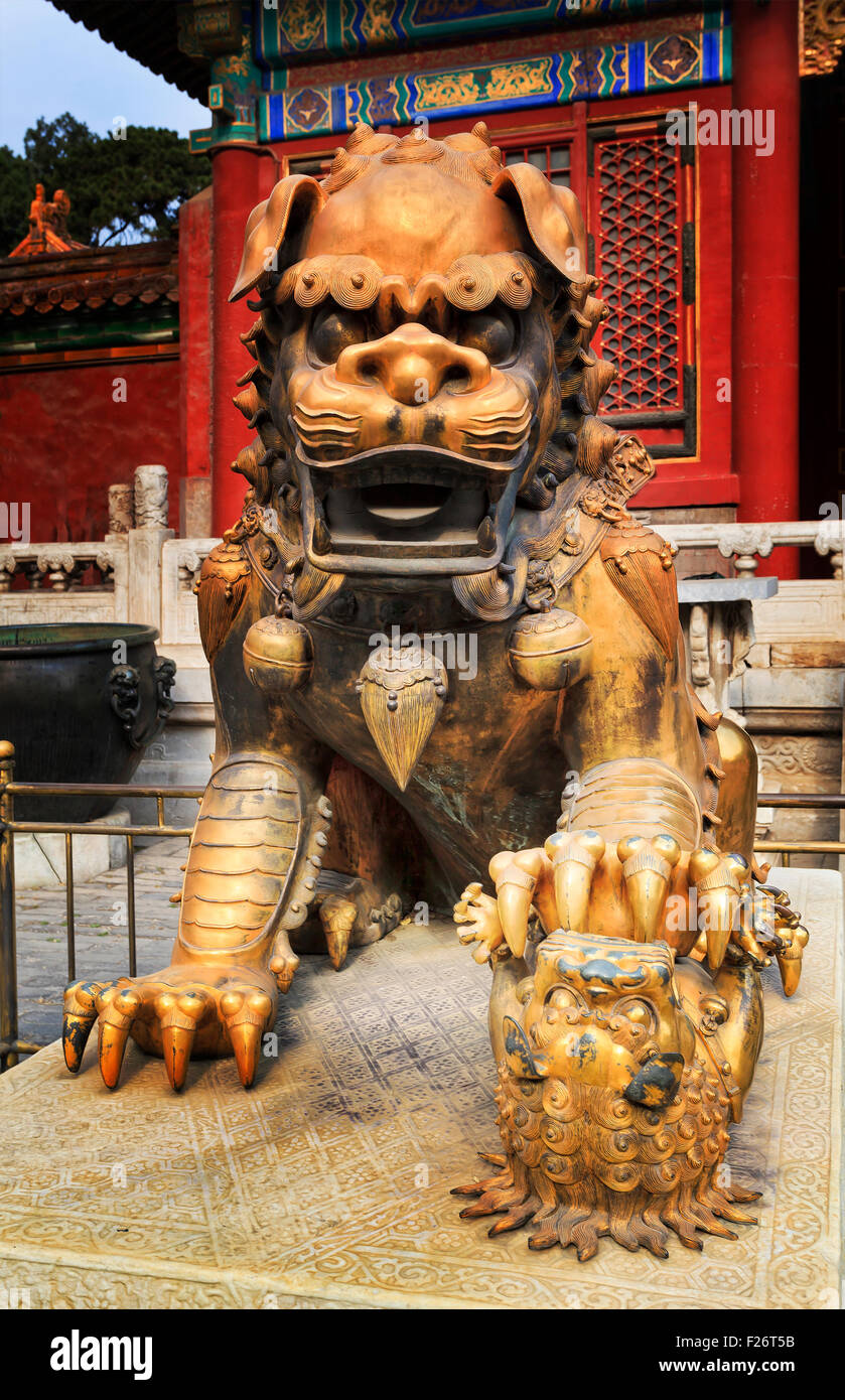 Frontale Nahaufnahme gold plattiert imperial Löwe aus Bronze Statue im Palast der verbotenen Stadt in Peking Stockfoto