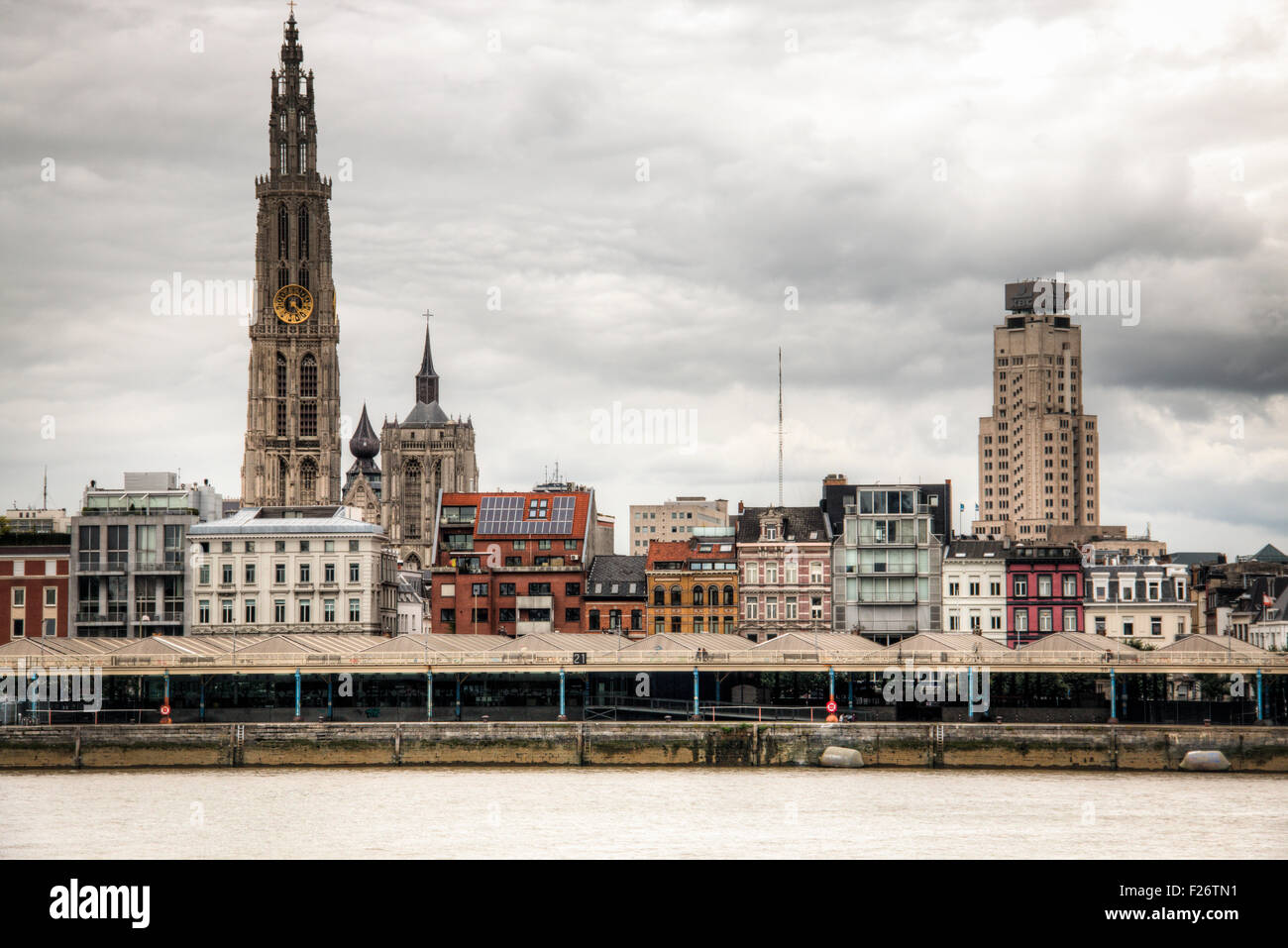 Skyline von Antwerpen mit dem Fluss schelde Stockfoto