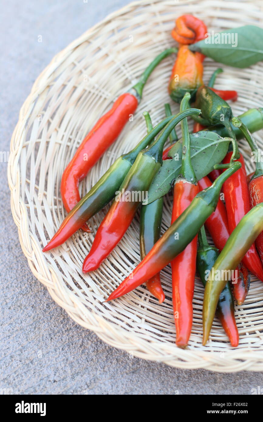 Nach Hause angebaut frische grüne und rote Chilis Stockfoto