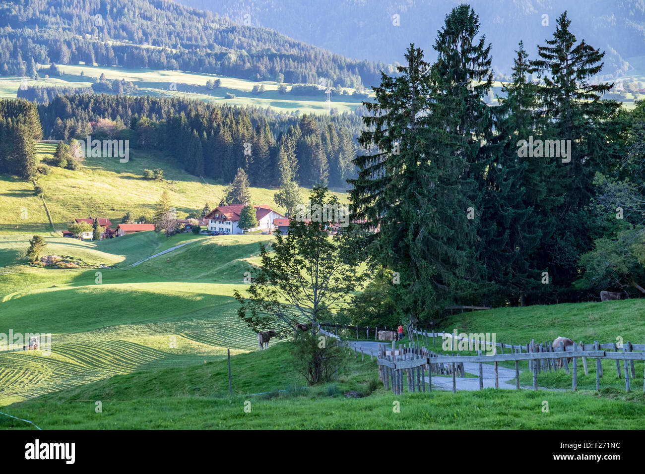 Finca, rollende grüne Wiesen und Bäume im Tal, Eisenberg, Bayern, Deutschland Stockfoto