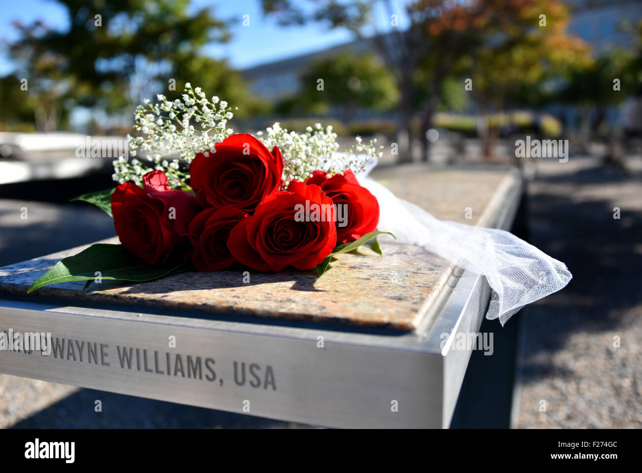 Blumen stehen vor einer Gedenkveranstaltung am 9/11 Pentagon Nationaldenkmal am Jahrestag der Terroranschläge von 9/11 11. September 2015 in Arlington, Virginia. Stockfoto