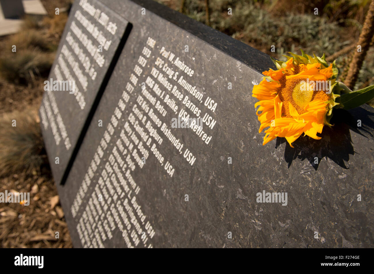 Blumen stehen vor einer Gedenkveranstaltung am 9/11 Pentagon Nationaldenkmal am Jahrestag der Terroranschläge von 9/11 11. September 2015 in Arlington, Virginia. Stockfoto