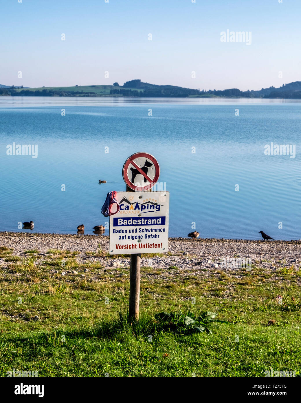 Beachten Sie Forggensee See, schwimmen auf eigene Gefahr und keine Hunde  erlaubt, Bayern Stockfotografie - Alamy