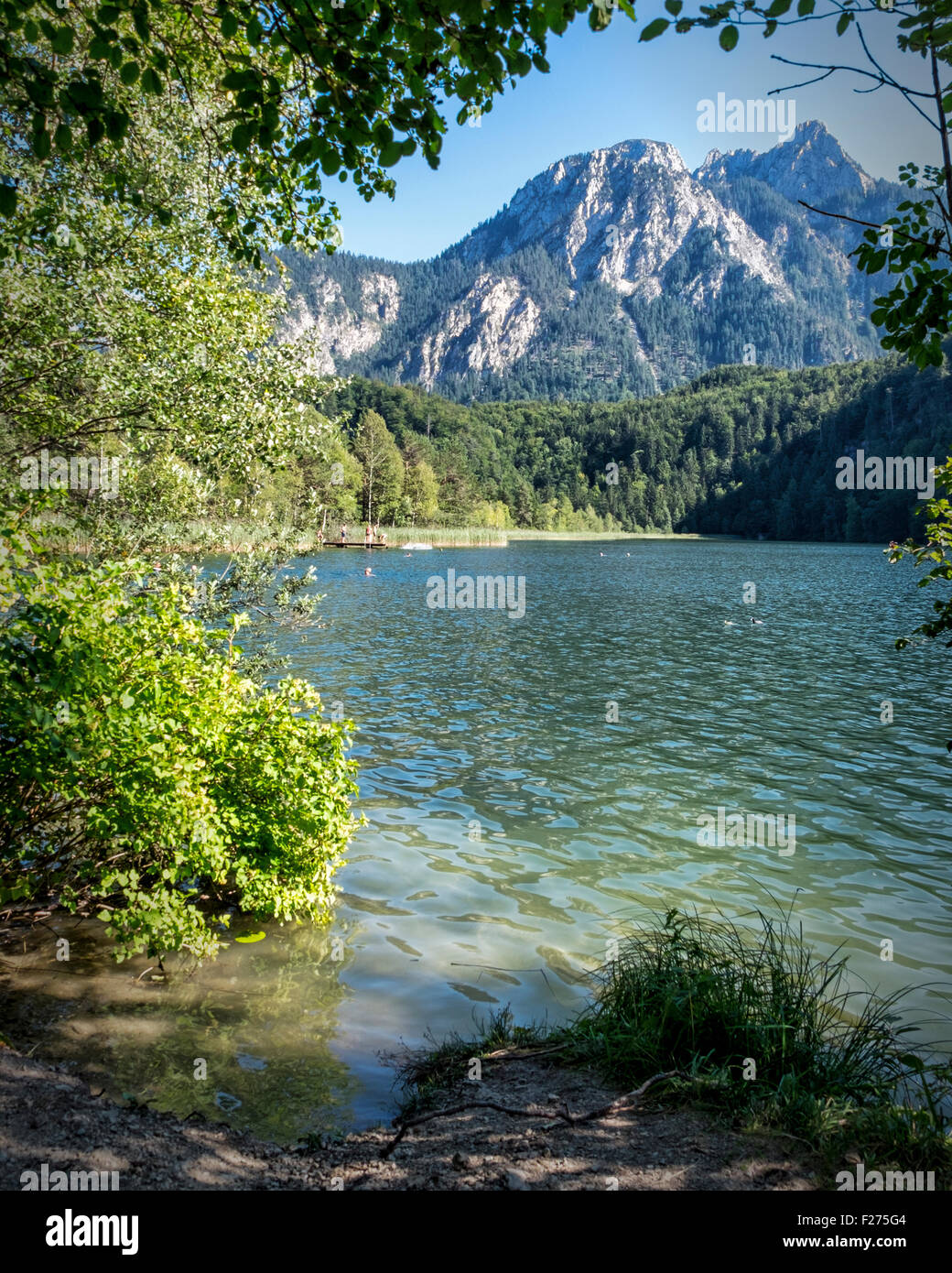 Schwansee, Schwanensee, Bayerische Alpen, Bayern Deutschland. Freiwasser Schwimmen im klaren Bergsee Stockfoto