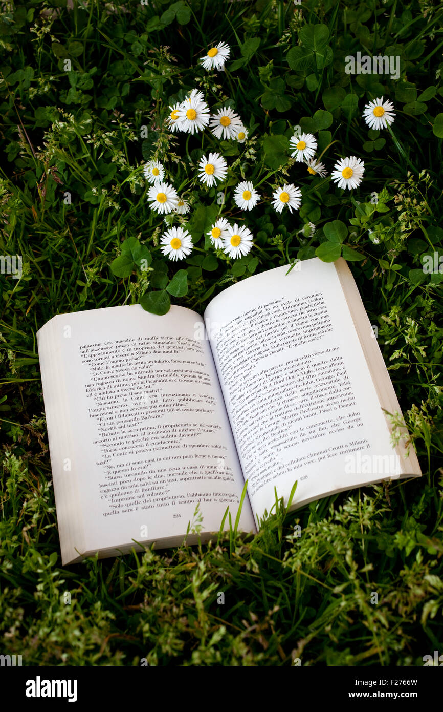 Offenes Buch Gras mit Gänseblümchen Stockfoto