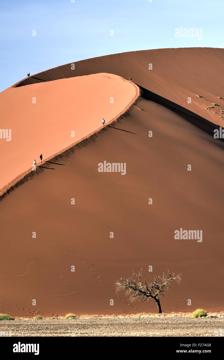 Hohen roten Dünen, befindet sich in der Namib-Wüste, in der Namib-Naukluft Nationalpark Namibias. Stockfoto