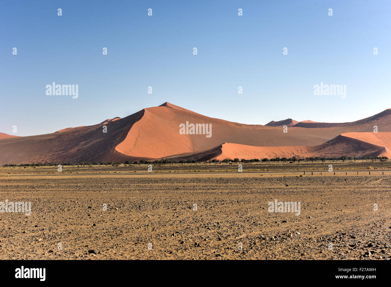 Hohen roten Dünen, befindet sich in der Namib-Wüste, in der Namib-Naukluft Nationalpark Namibias. Stockfoto