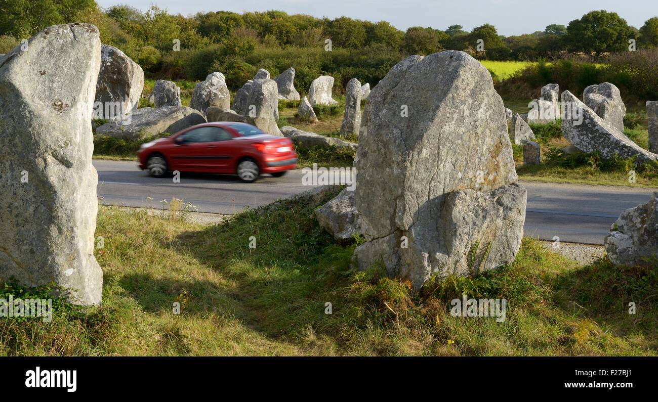 D781 Weg führt über 5000 Jahre alte prähistorische Megalithen, die Kerzerho Ausrichtungen. Erdeven, Bretagne, Frankreich Stockfoto