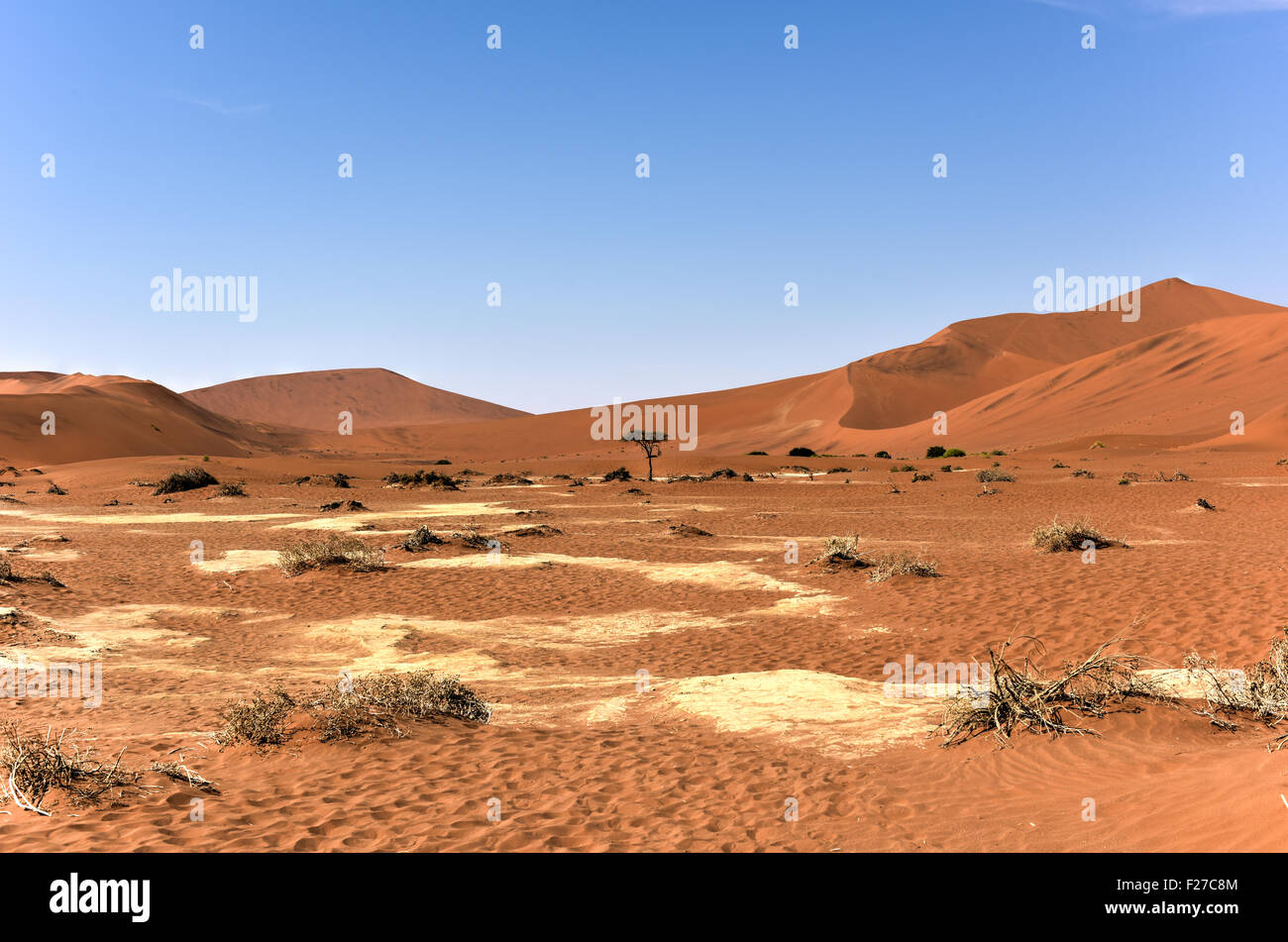 Sossusvlei (manchmal geschrieben Sossus Vlei) ist ein Salz und Ton Pan, umgeben von hohen roten Dünen, befindet sich im südlichen Teil des Stockfoto