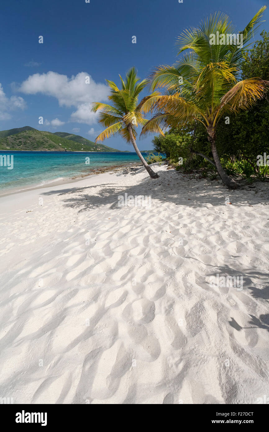 Sandy Island, Britische Jungferninseln, Caribbean Stockfoto