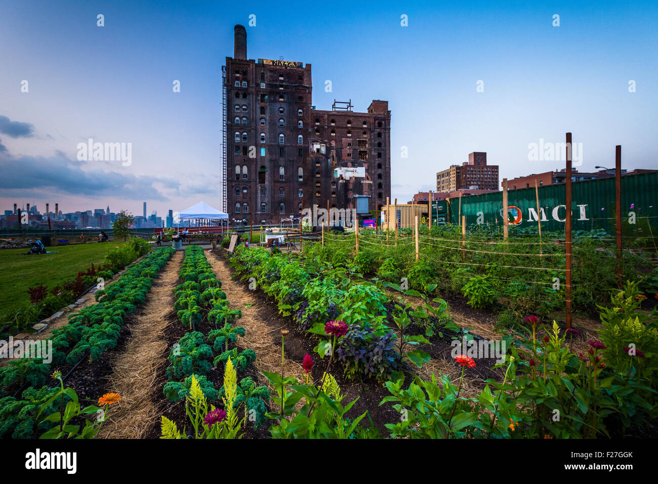 Urbane Farm in Williamsburg, Manhattan, New York. Stockfoto