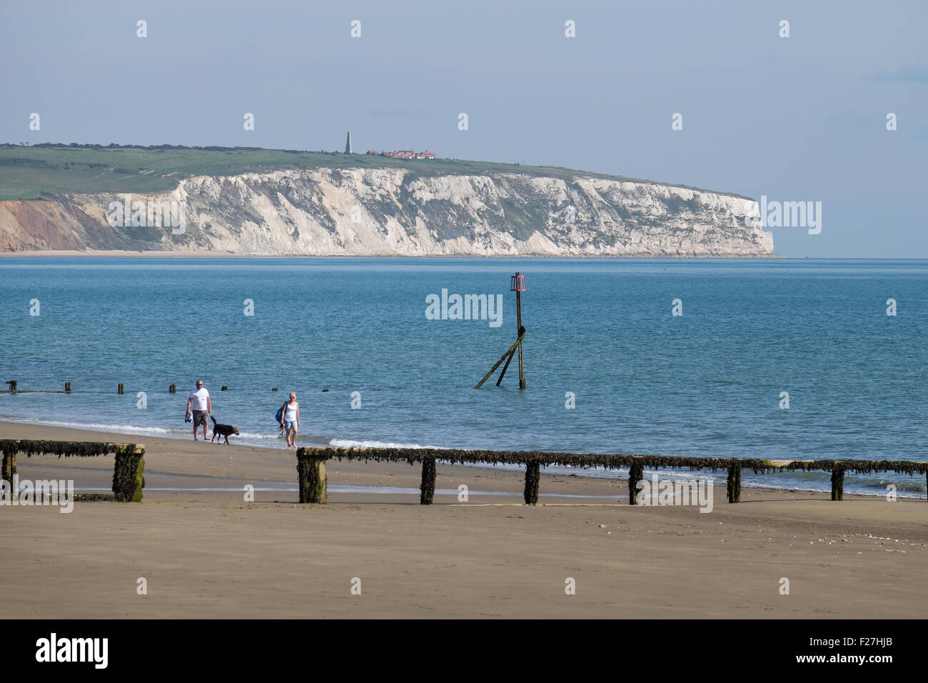 Hund am Strand am See auf der Isle Of Wight, UK Stockfoto