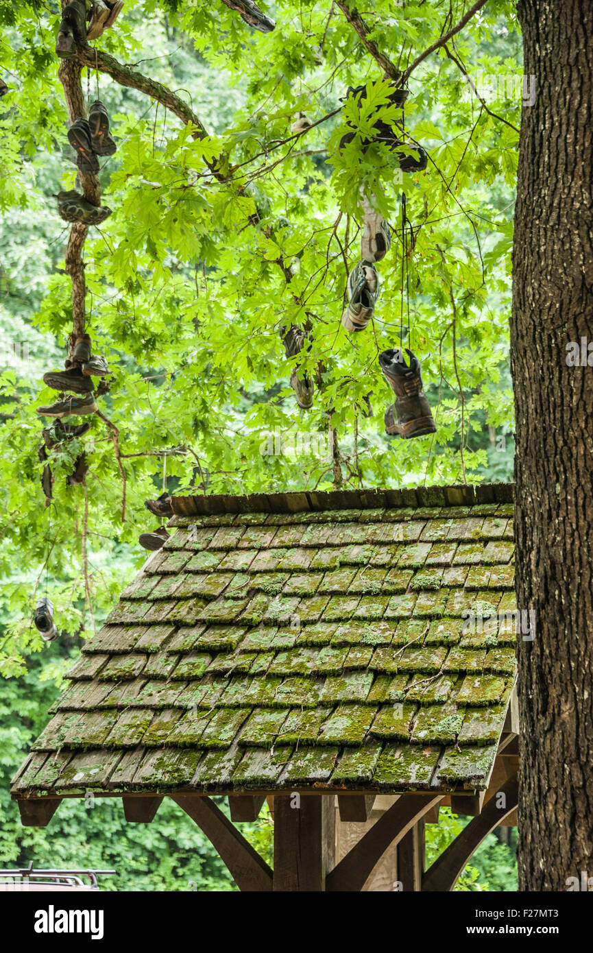 Wanderschuhe hängen an Baumzweigen über einem geschützten Informationsstand in Walasi-Yi entlang des Appalachian Trail bei Neels Gap. Stockfoto