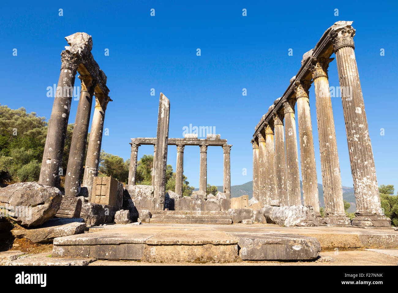 Spalten von der alten Tempel des Zeus bei Euromos war eine antike Stadt in Karien Anatolien Türkei Stockfoto