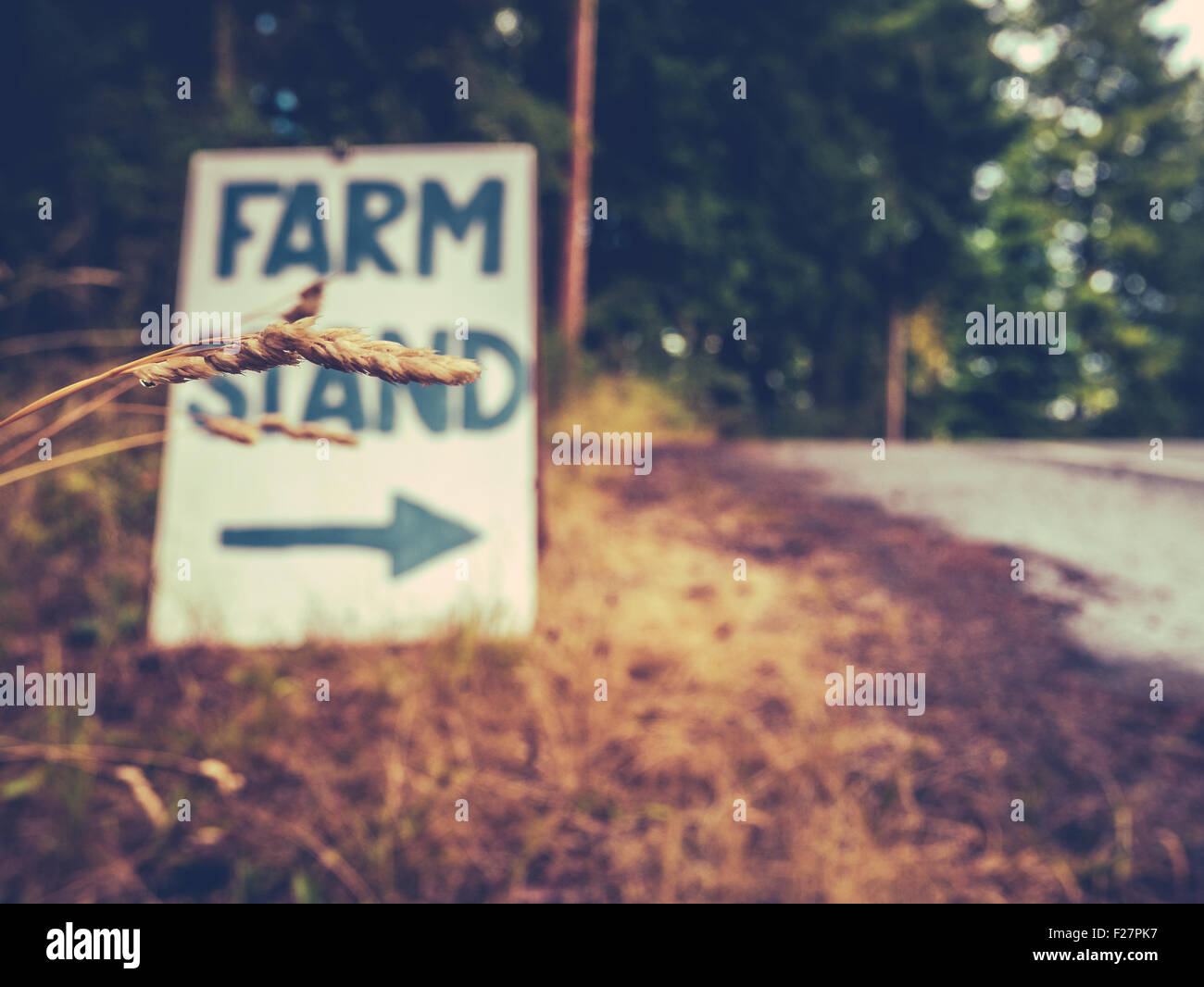 Rustikale Zeichen für eine Farm stehen am Straßenrand Stockfoto