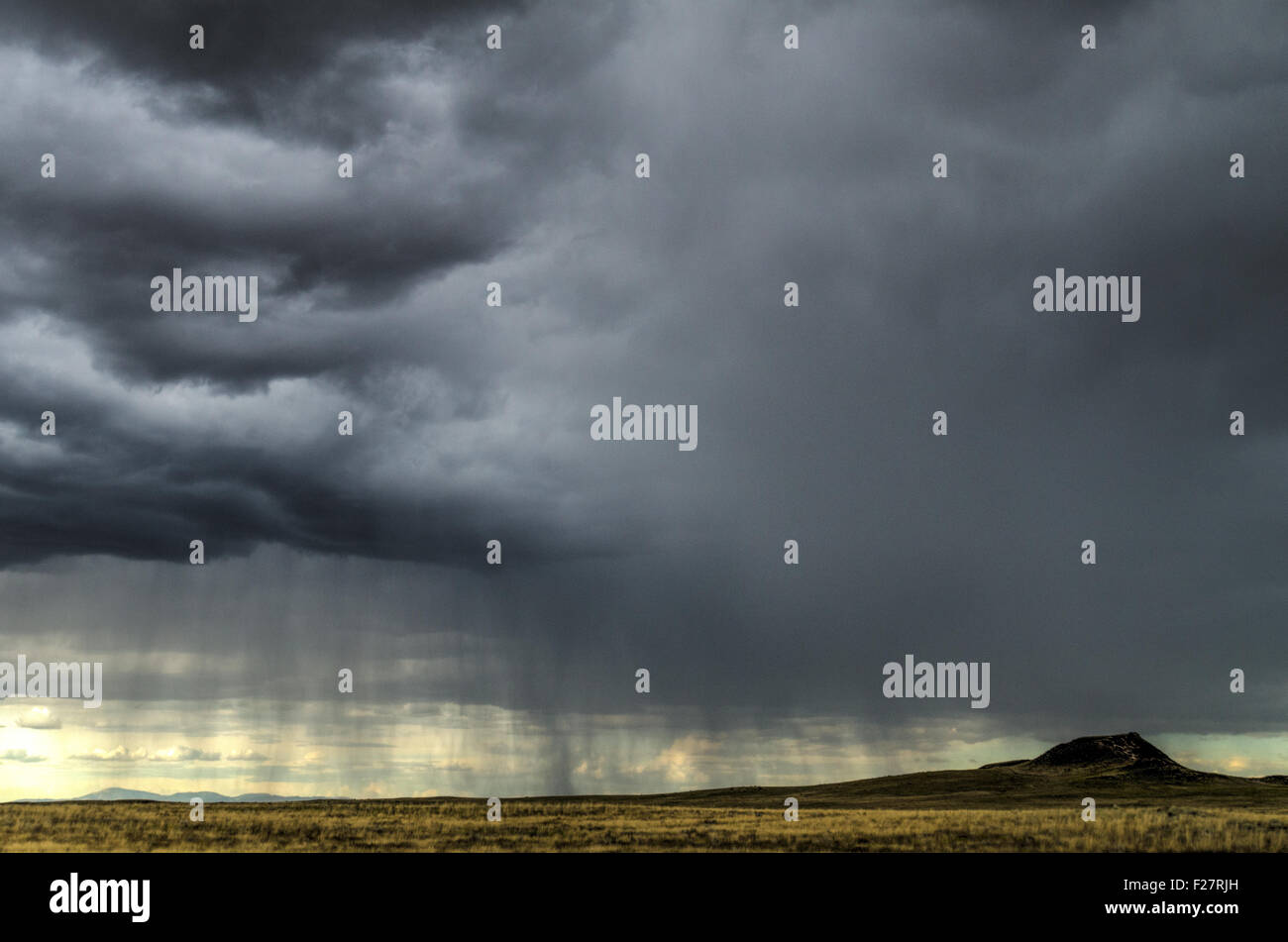 Monsun-Regen westlich von Albuquerque, New Mexico, USA. Stockfoto