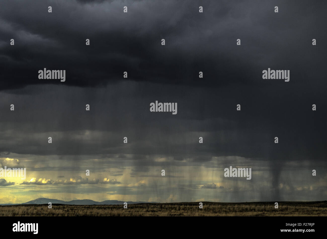 Monsun-Regen westlich von Albuquerque, New Mexico, USA. Stockfoto