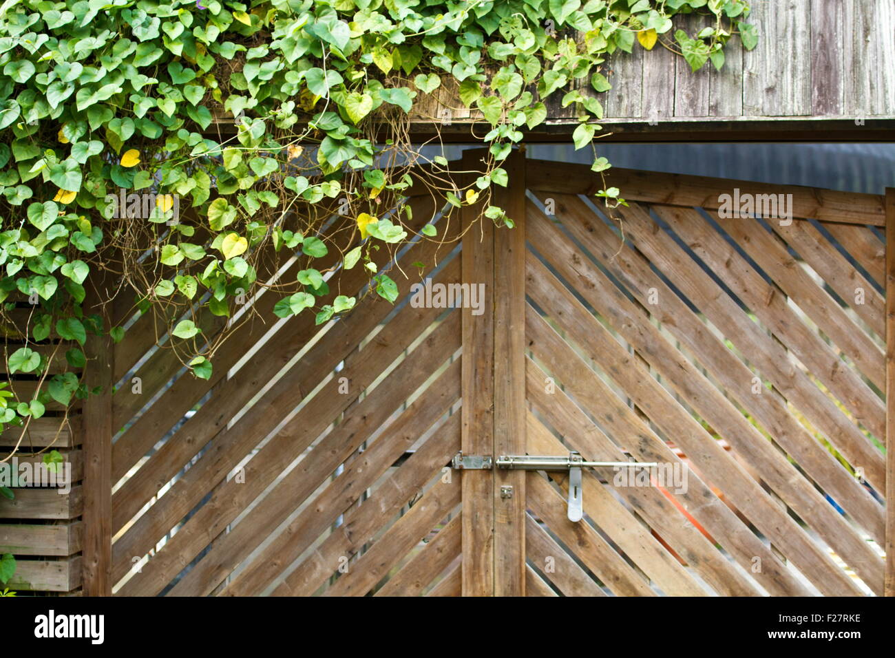 Pflanzen auf Holztür im klassischen Stil Stockfoto