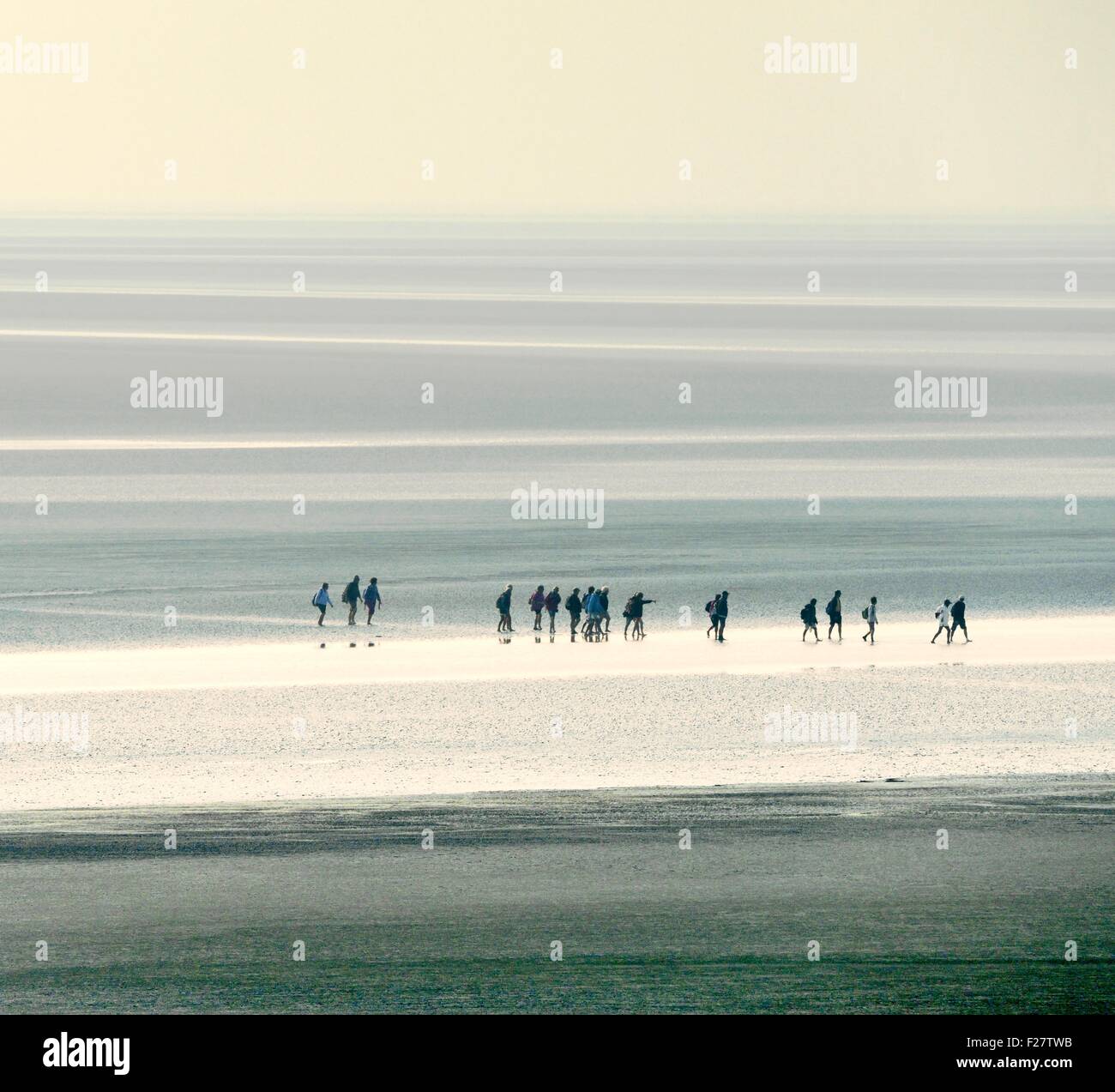 Geführte walking Partei Kreuz Wattenmeer bei Ebbe von Mont Saint Michel, Normandie. Blick nach Westen von Pointe du Grouin de Sud Stockfoto