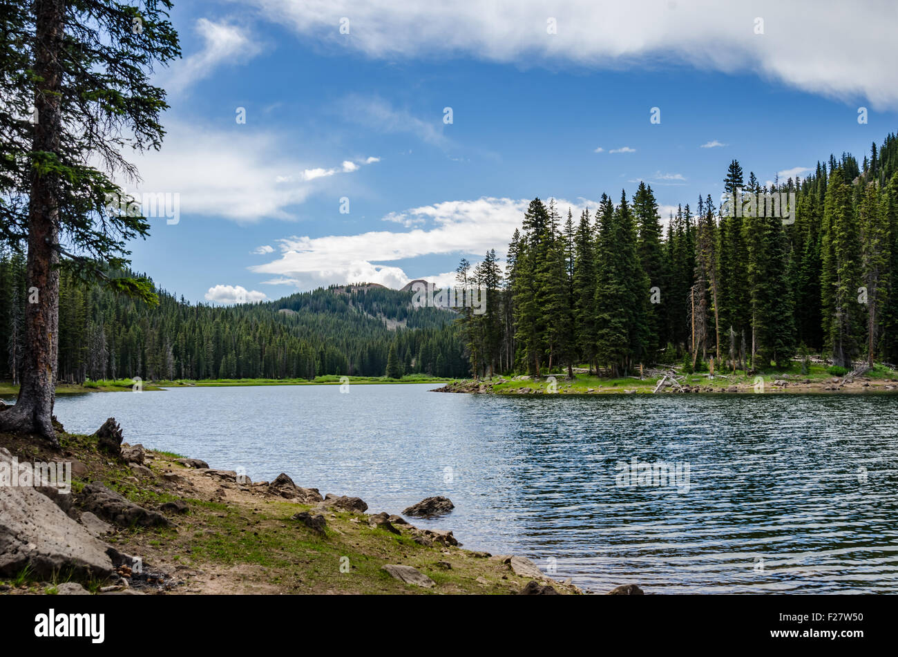 Ein See auf der Grand Mesa im südwestlichen Colorado Stockfoto