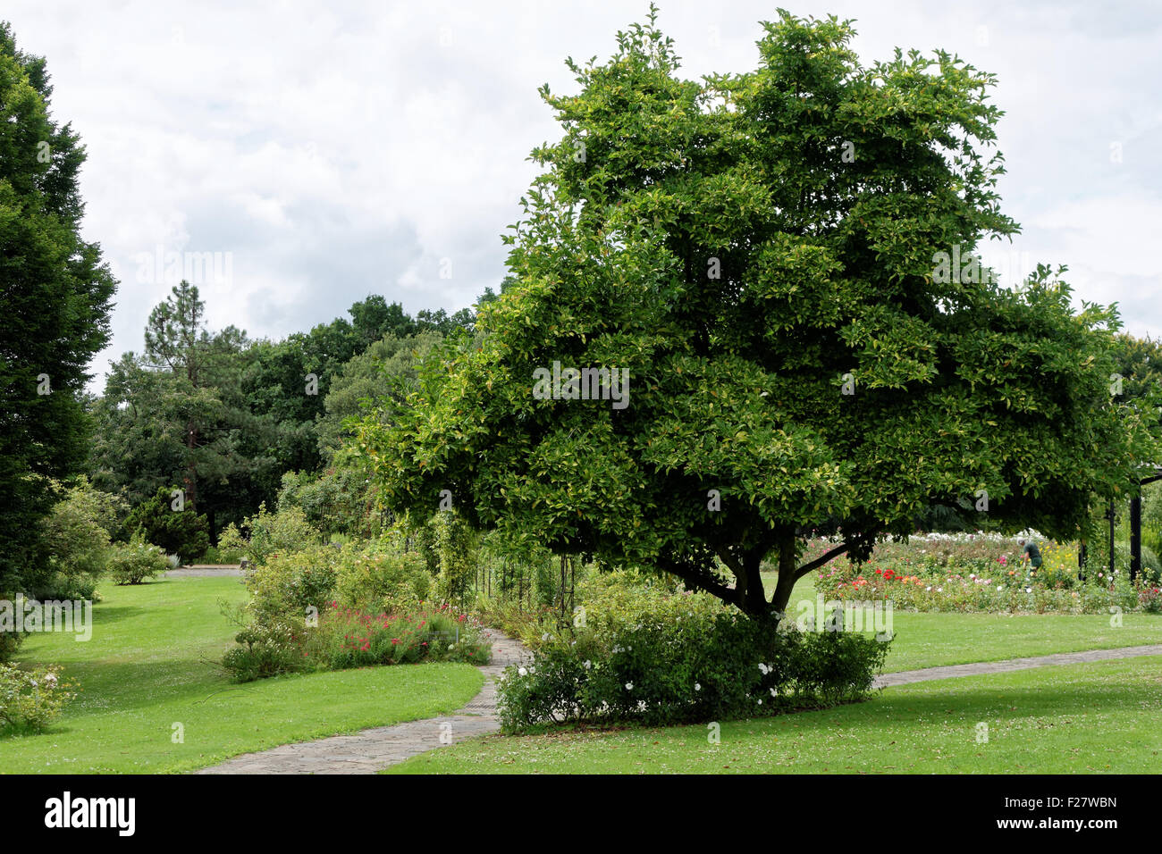 Der Parc Floral De La Le Stockfoto