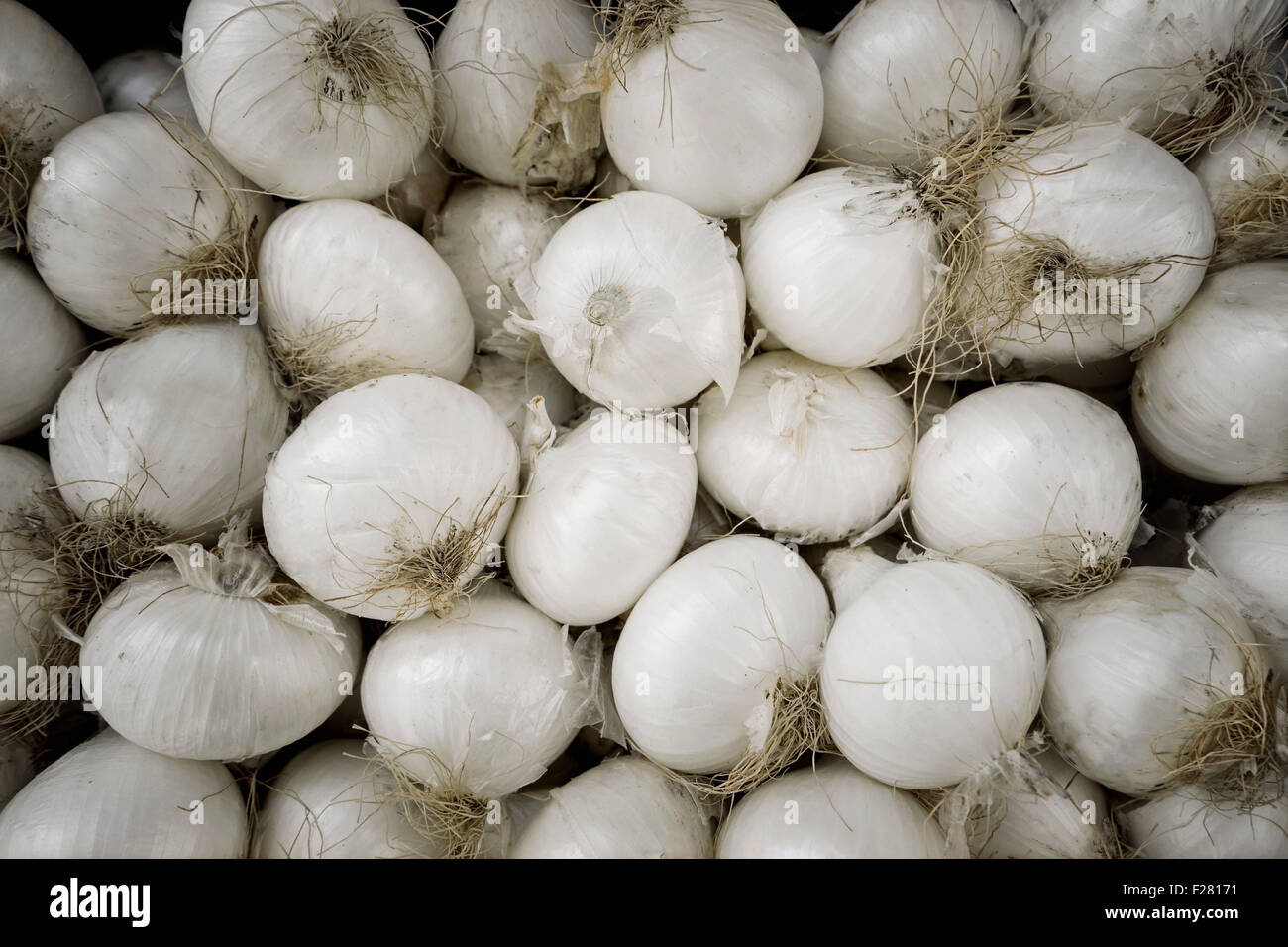 Haufen von weißen Zwiebeln zum Verkauf auf Markt, Apulien, Italien Stockfoto