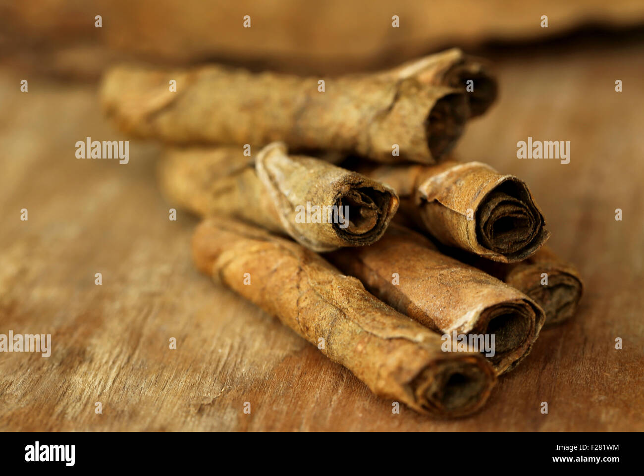 Trockenen gerollten Tabakblättern zur Herstellung von Zigarren Stockfoto